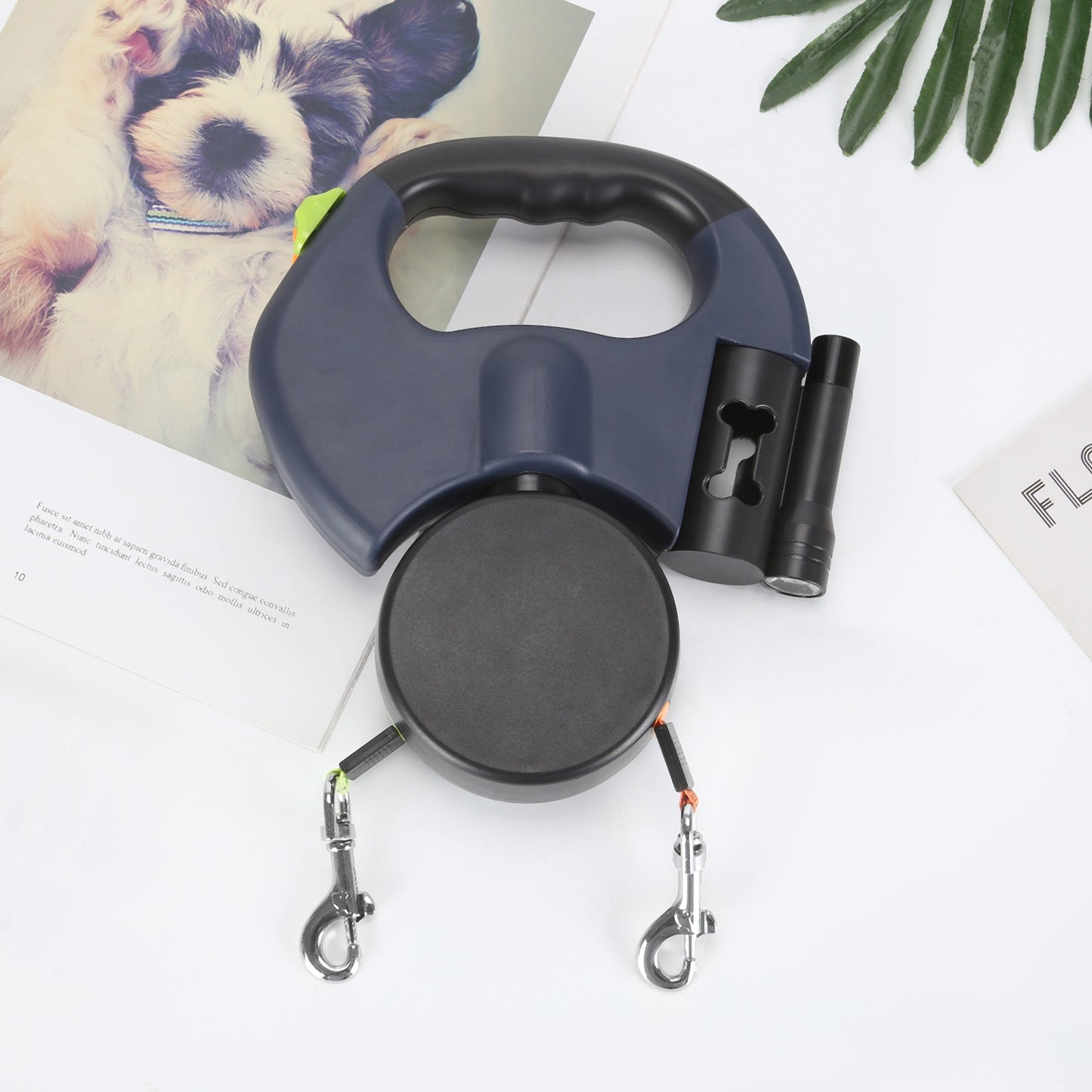 Best Dog Befez Solution